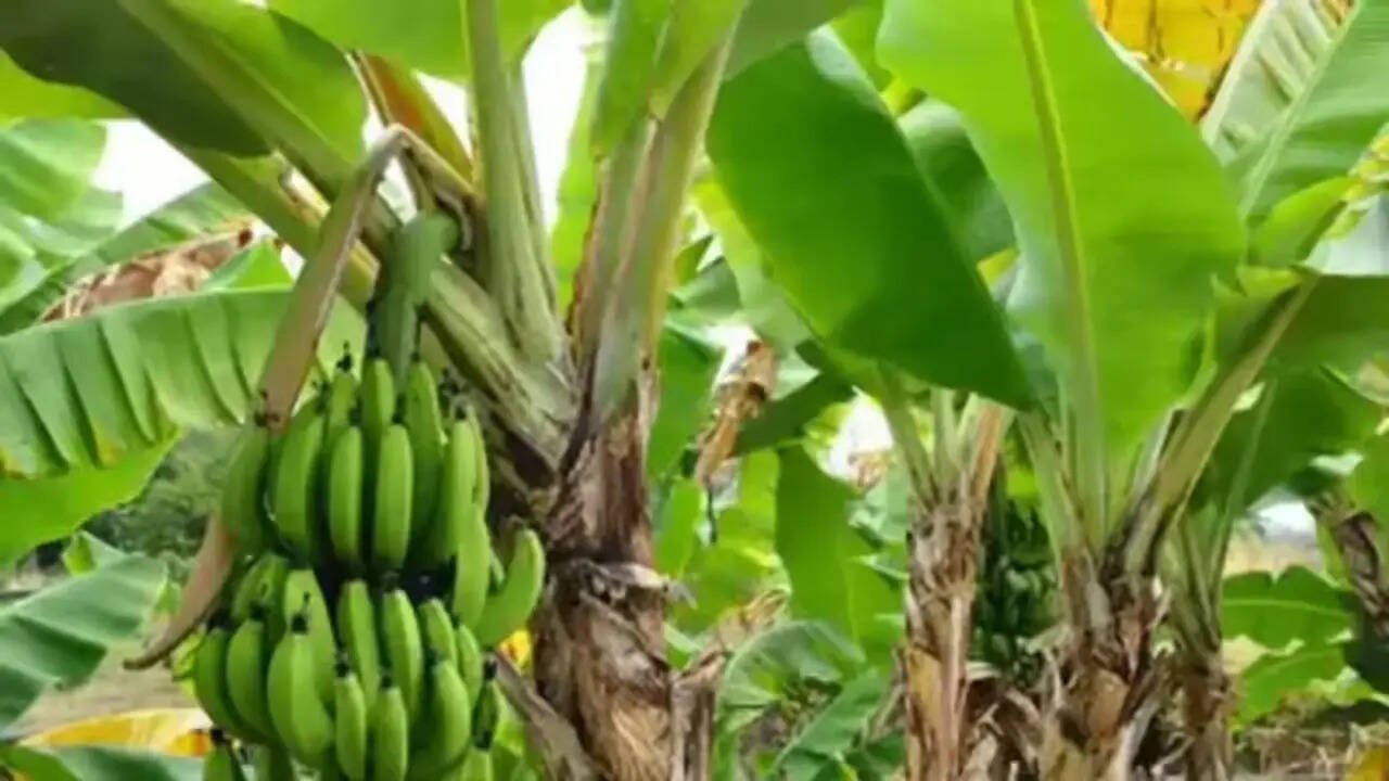 Thursday Special: 6 Things to do for prosperity and positivity