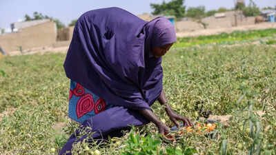 Nigeria News: Nigeria Faces Brutal Heatwave Amid Rising Fuel Costs Due to Iran War | World News