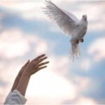 Emraan Hashmi and Disha Patani’s ‘Awarapan 2’ set for August 14 theatrical release | Hindi Movie News