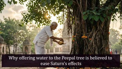 Why offering water to the Peepal tree is believed to ease Saturn’s effects |