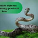 Snake dreams explained: Hidden meanings you should know