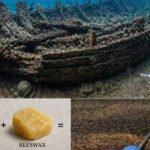 2,200-year-old Roman shipwreck reveals the secret formula that kept ancient ships afloat | World News