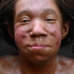 50,000-year-old Neanderthal baby found with completely unexpected growth pattern: New fossil rewrites early human biology |