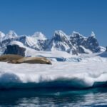 Antarctica’s “point of no return”: Scientists warn the meltdown may be unstoppable |