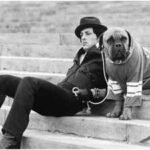 Before Rocky’s success, Sylvester Stallone sold his dog for  for survival: ‘We were both hungry, and living in a flophouse’ | English Movie News
