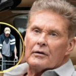 David Hasselhoff, 73, Using Walker During Recovery with Wife Hayley Roberts |