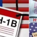 H-1B visa holders harassed by influencers: Immigration attorneys say ‘don’t open the doors, you are not…’
