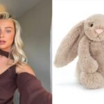 Struggling with tax debt, UK social media influencer convicted for ‘opportunistic’ theft of Jellycat toys | World News
