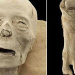 Inside 2,300-year-old Egyptian mummies: CT scans expose skulls, disease, and a mysterious missing toe |