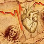 Leonardo Da Vinci drew this heart structure 500 years ago: Scientists may have just solved the mystery that may predict heart disease |