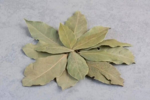 Carry this with you for wealth and financial stability based on your birth date