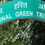 NGT moved over tree felling for park development in Odisha