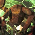 James Ortiz, behind Rocky in ‘Project Hail Mary’ may be nominated at the Oscars and Critics Choice Award next year – Report |