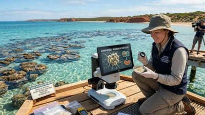 Scientists in Australia have discovered a tiny microbe that could reveal the origin of human life | World News