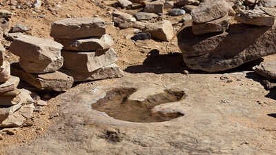 In 2021, a 4-year-old girl walking on a beach spotted a mark in a rock that turned out to be a dinosaur footprint |