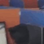 ‘Entire centre compromised’: Viral video alleges candidates using mobiles to answer questions— watch