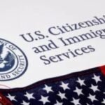 OPT faces fresh political heat in US amid fraud allegations; Intl students will face the brunt