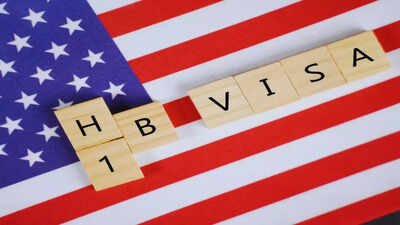 ‘At least 3 fewer Indians’: Woman’s post on Meta layoff affecting H-1B visa holder with wife and kid in Seattle draws flak