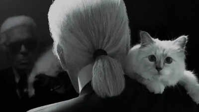 Meet Choupette, the world’s richest cat, whose lifestyle would make Cleopatra envious