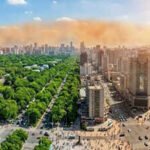Cities could become twice as deadly without trees: Study reveals how urban forests slash heat by nearly 50% |