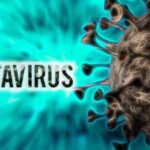Hantavirus outbreak: Deadly Andes strain detected in cruise ship cases; eight cases confirmed
