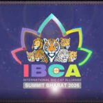 India Calls for Global Participation in Big Cat Conservation Summit Ahead of IBCA Launch | India News