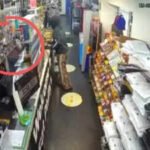 Indian-origin woman killed at supermarket in Virginia; shooter had no connection with her, was later found dead