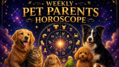 Weekly Pet Parents Horoscope, May 31 to June 06, 2026: What the stars say about your bond with your pets