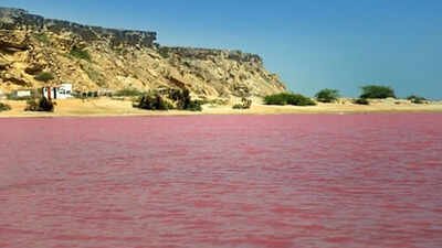 10 pink lakes around the world: From Lake Hillier to Pink Lake | World News
