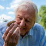 Sir David Attenborough celebrates 100th birthday: The life, legacy, and global impact of the world’s most beloved natural history broadcaster |
