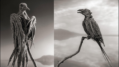 Lake Natron: The dead lake: This Tanzanian lake can turn dead animals into stone-like statues | World News