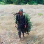 The man who kept fighting World War II alone in the jungle for 30 years: Here’s the truth behind his mission | World News