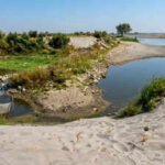Why Yamuna Is Now Brownish Narrow Stream | Delhi News