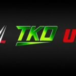 After LIV Golf withdrawal, Saudi PIF confirms future fate of UFC, WWE and global boxing investments | International Sports News