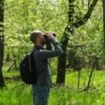 Crowdfunding helps Serbian birdwatchers save woodland