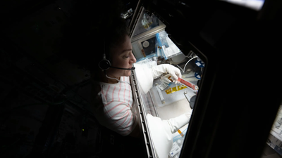 Why scientists are sending stem cells to space to fight cancer and deadly diseases |