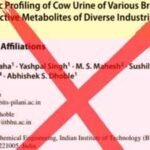 ‘Grossly misinterpreted’: Hepatologist challenges findings of IIT-BHU cow urine study