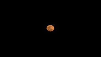 Vat Purnima: When is Jyeshtha Purnima 2026? Know date, rituals and significance