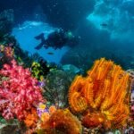 Melting icebergs are creating new homes 2,500 metres beneath the Arctic Ocean for marine life as dropping rocks transform the seafloor |