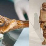 5300-year-old Europe’s oldest mummy may be ‘alive’: Scientists reveal shocking microbial activity | World News