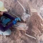 Archaeologists discover Roman soldier buried inside a 5,000-year-old Spanish fortress | World News