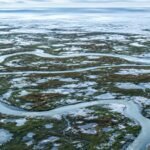 Arctic alarm: Earth’s frozen carbon stores in the Arctic may stop absorbing CO2 and start releasing it by the 2050s |