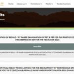 BSF Constable Tradesman 2025 result declared at bsf.gov.in, 1.81 lakh shortlisted for second phase written test: Download PDF here