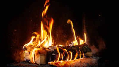 German proverb of the day: ‘Crooked logs also make straight fires’