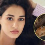 Disha Patani: ‘You taught me what love is’: Disha Patani mourns death of pet dog Bella, calls her ‘soulmate’ |