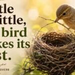 French proverb of the day: ‘Little by little, the bird makes its nest’ — a lesson on why slow, steady effort builds the strongest foundations