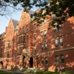 ‘I worry about my future’: Harvard student says Ivy League degree wasn’t enough to secure an internship