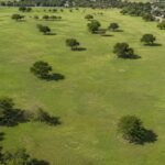 In 1999, a farmer donated 87 acres for a park for just ; today, the land is being sold for a data center in a deal that could bring  million to the city and  million in tax revenue | World News