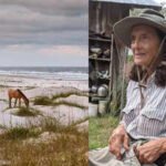 Meet Carol Ruckdeschel: The 84-year-old woman who chose to live alone on a wild island filled with snakes, horses and devoted life to nature | World News