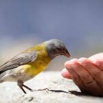 Daily sacred rituals to enhance your Good Luck